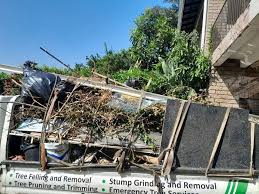 Trusted Waverly, MI Junk Removal Services Experts