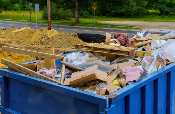 Best Hoarding Cleanup  in Waverly, MI